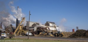 Sugar cane processing plant