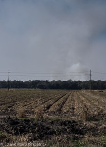 Smoke from burning cane on the horizon and burned chaff in the foreground. Note the new cane growing.