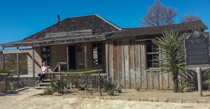 That's Marti, not the Judge, but she is still the law west of the Pecos in our home... :)