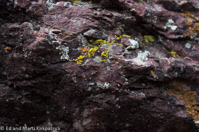 Lichens Natural Bridge