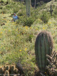 Marti hunting flowers