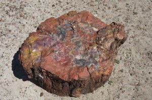 Coloration is entirely minerals