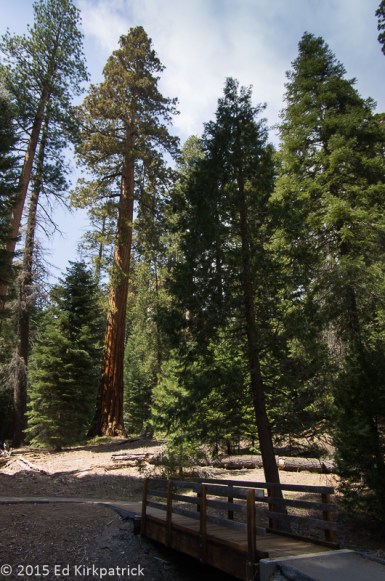 The peacefulness of the silence is only interrupted by birdsong.