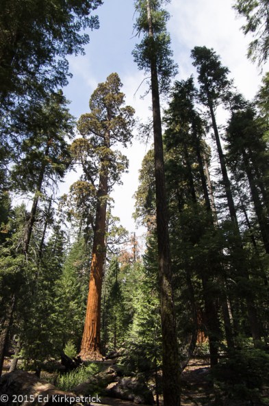 Such a spiritual place.