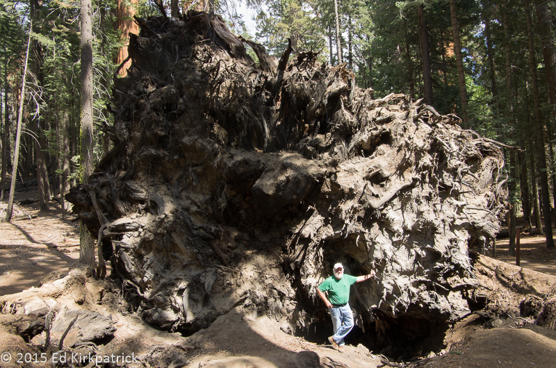 Ed gets to the root of things here...