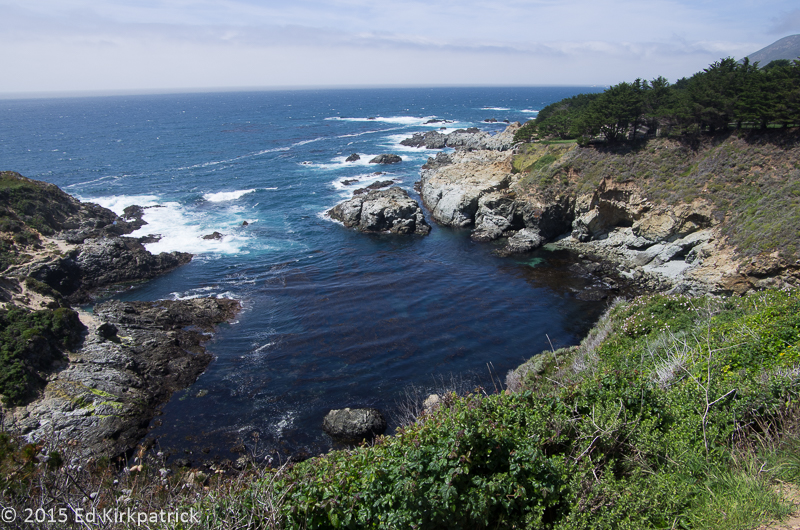 A nice home site next to this cove.