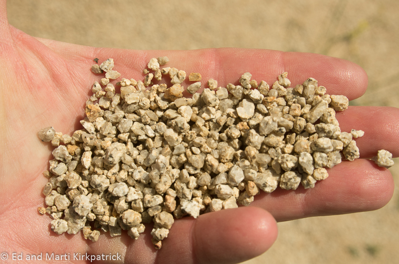 Showing the large grains of eroded granite.