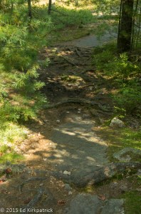 French River Pathway (1 of 1)