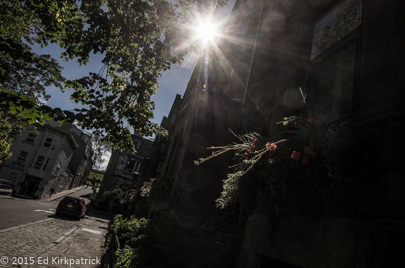 Flower Box in Quebec