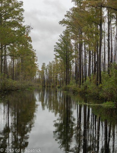 20151119-_EKP3704-Pano