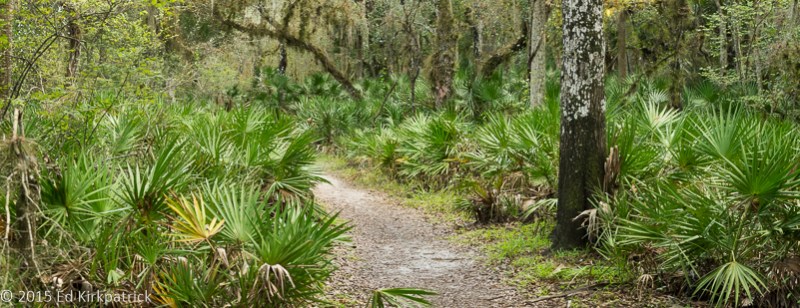 20151129-_EKP4210-Pano-2