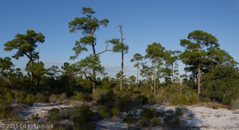 20151206-_EKP4433-Pano