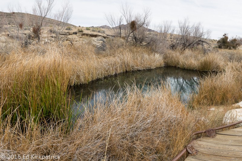 20160116-_EKP5194-Pano