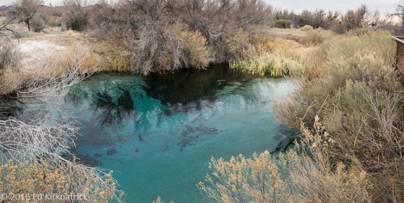 20160116-_EKP5208-Pano