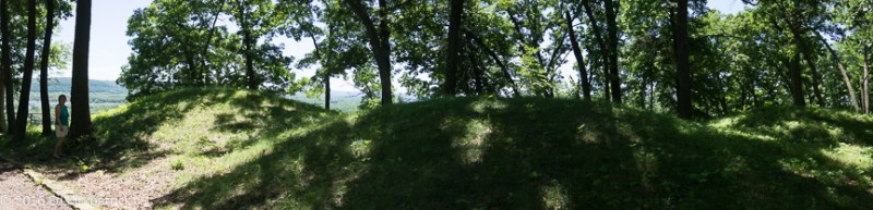 20160708-_EKP7382-Pano