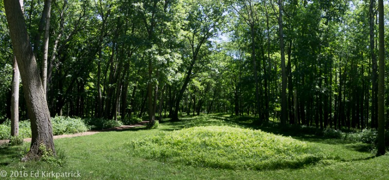 20160708-_EKP7405-Pano