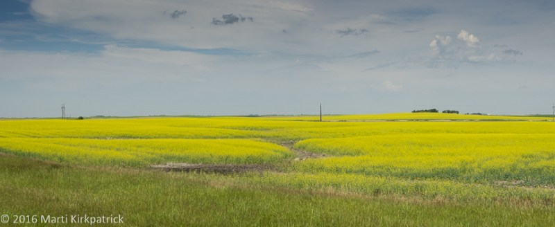 20160731-_EKP8047-Pano