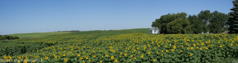 20160802-_EKP8099-Pano