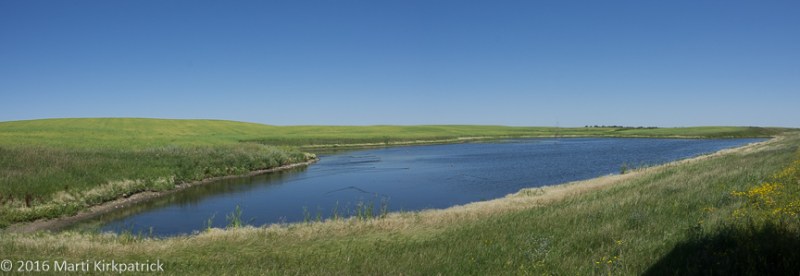 20160802-_EKP8198-Pano