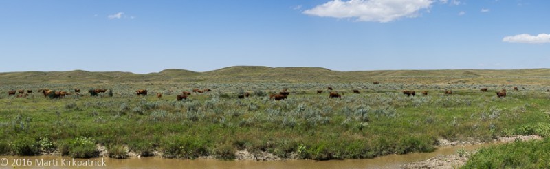 20160803-_EKP8313-Pano