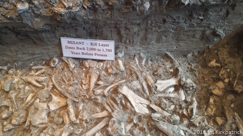 20160804-20160804_151039