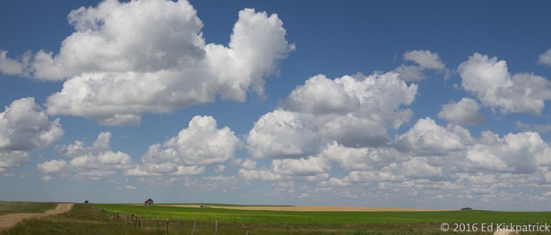 20160804-_EKP8399-Pano