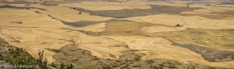 20160817-_ekp9011-pano