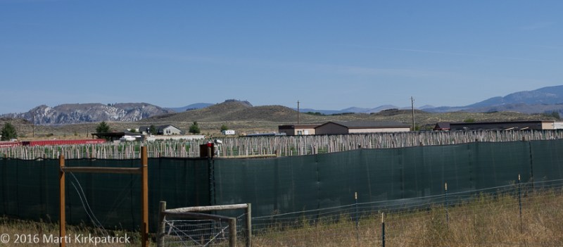 20160820-_ekp9129-pano