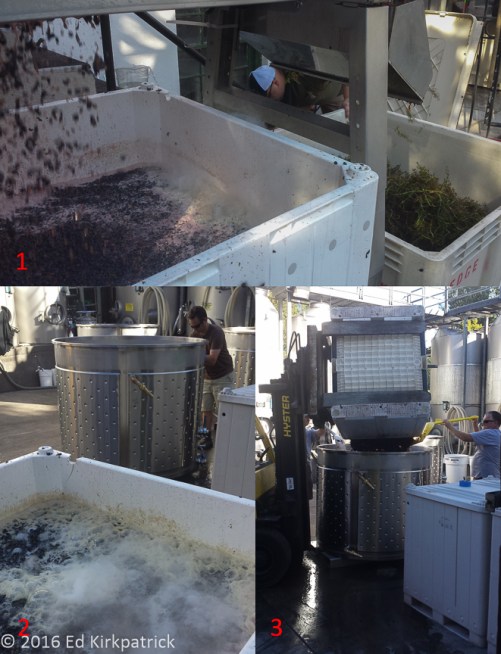 20160911-20160911-20160911_165939