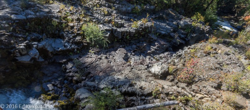 20160927-_ekp1761-pano