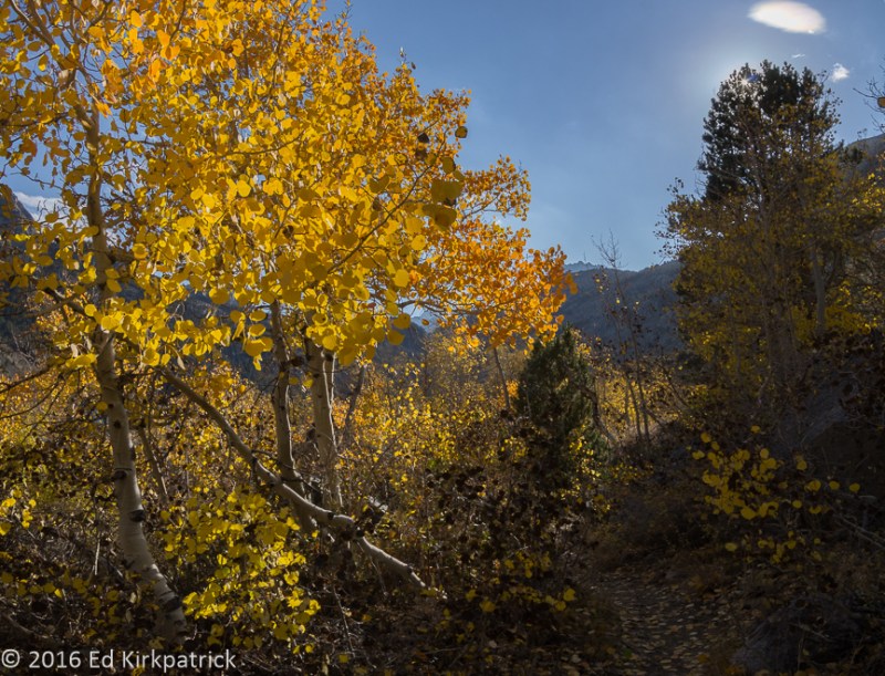 20161012-_EKP2607-Pano