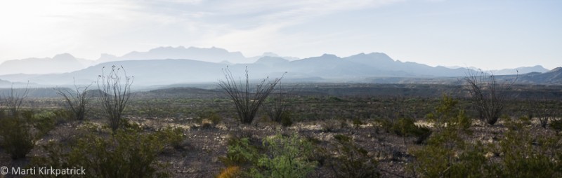 20170410-_EKP4184-Pano