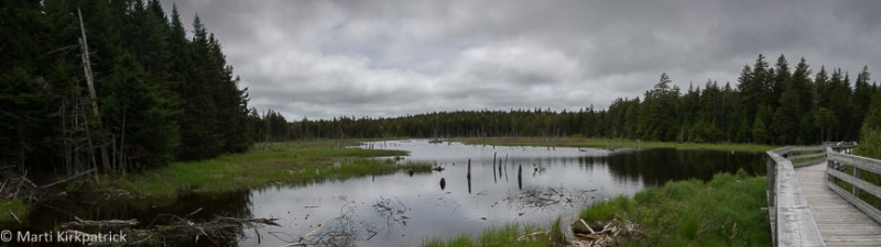 20170605-_EKP6489-Pano