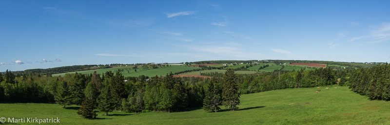 20170610-_EKP6707-Pano