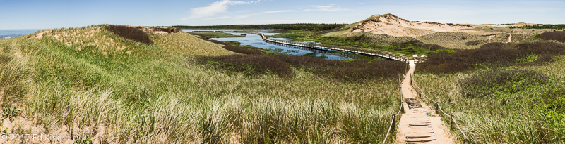 20170612-_EKP6909-Pano