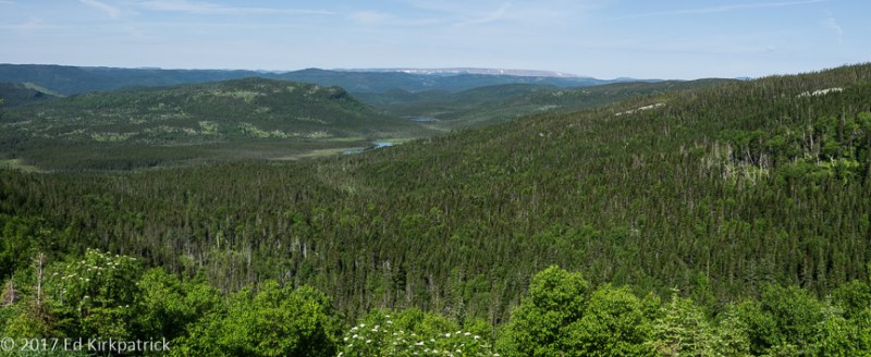 20170706-_EKP9183-Pano