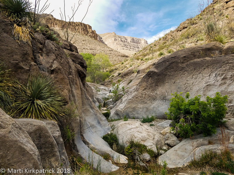 20180416-20180416_172522