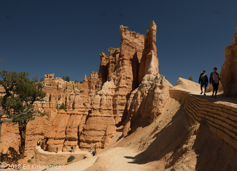 20180516-_EKP5703-Pano