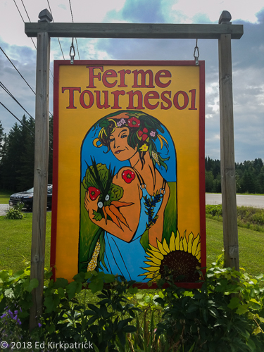 20180804-20180804_114145