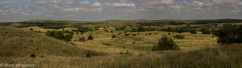 20190831-_EKP9746-Pano