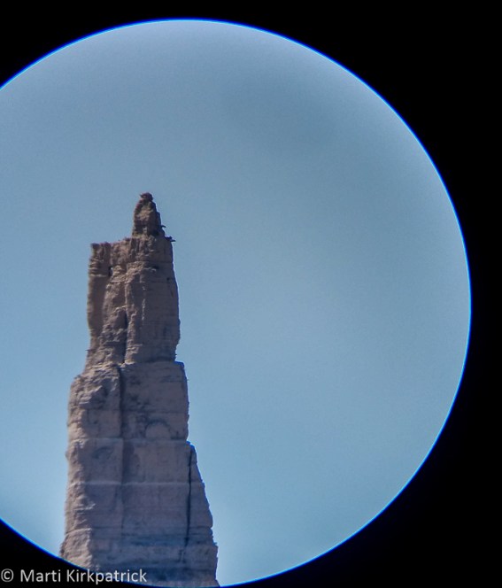 20190901-20190901_141323