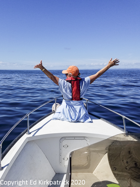 20170806_111130-Edit